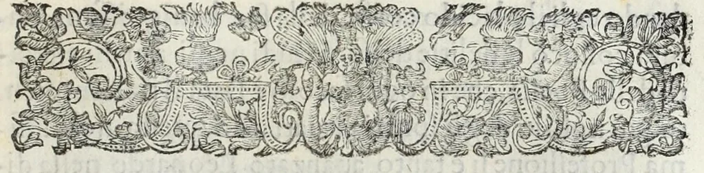 An illustration from Le glorie de gli Incogniti : o vero gli huomini illustri dell'Accademia de' signori incogniti de Venetia, 1647, leaf 329