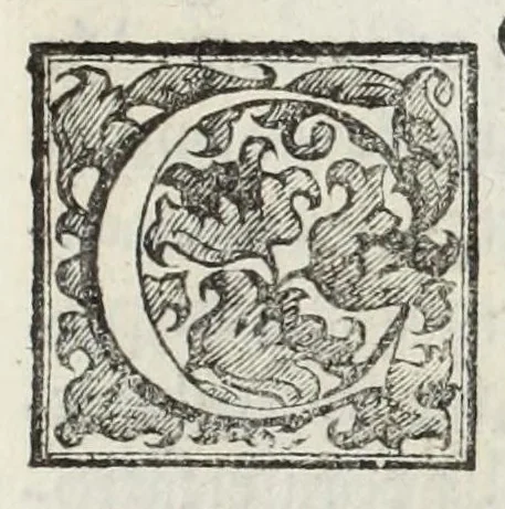 An illustration from Le glorie de gli Incogniti : o vero gli huomini illustri dell'Accademia de' signori incogniti de Venetia, 1647, leaf 357