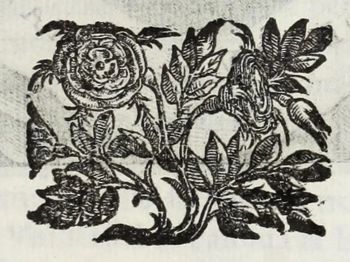 An illustration from Le glorie de gli Incogniti : o vero gli huomini illustri dell'Accademia de' signori incogniti de Venetia, 1647, leaf 395