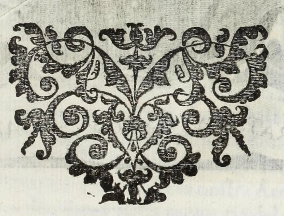 An illustration from Le glorie de gli Incogniti : o vero gli huomini illustri dell'Accademia de' signori incogniti de Venetia, 1647, leaf 411