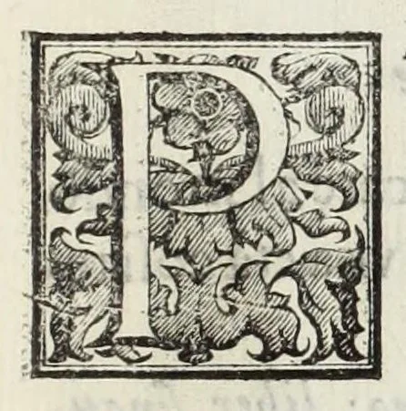An illustration from Le glorie de gli Incogniti : o vero gli huomini illustri dell'Accademia de' signori incogniti de Venetia, 1647, leaf 83