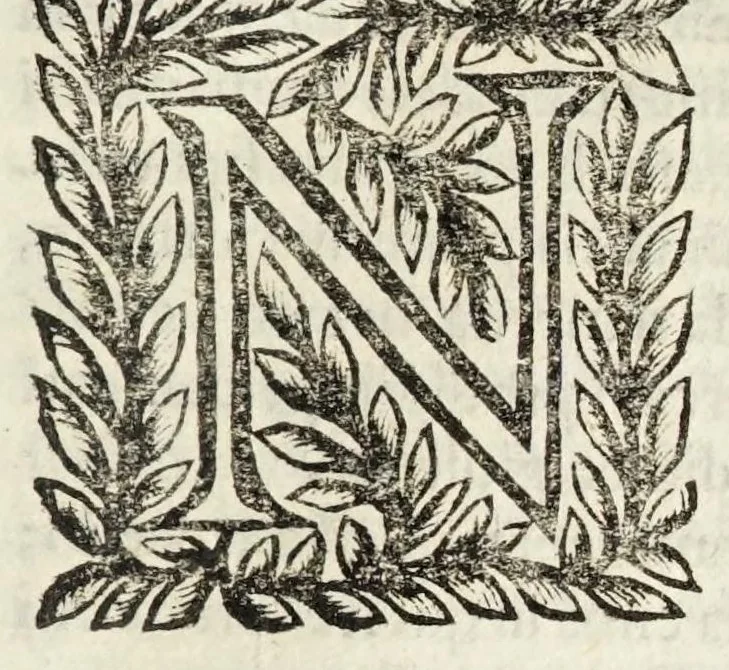 An illustration from Le glorie di Pauia dallo stretto assedio e liberatione di essa : riportate contro l'armi di Francia, di Sauoia, e di Modona l'anno M.DC.LV, 1656, leaf 13