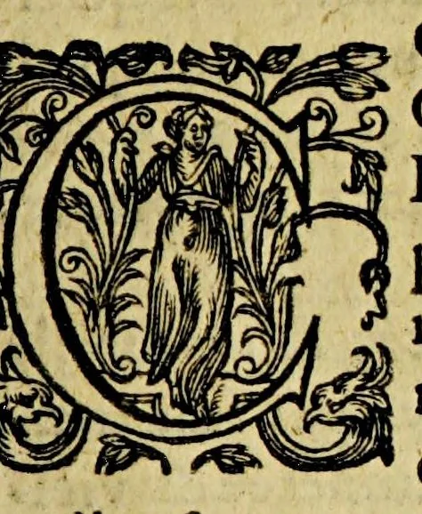 An illustration from Le gouuernement necessaire a chacun pour viure longuement en santé. : Dedié au roy tres-Christien de France et de Nauarre, Henry IIII., 1600, leaf 175