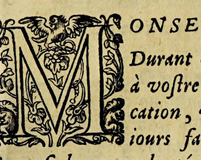 An illustration from Le gouuernement necessaire a chacun pour viure longuement en santé. : Dedié au roy tres-Christien de France et de Nauarre, Henry IIII., 1600, leaf 301