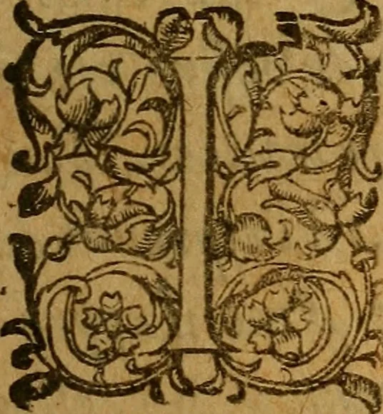 An illustration from Le grand esclairsissement de la pierre philosophale pour la transmutation de tous les metaux, 1628, leaf 6