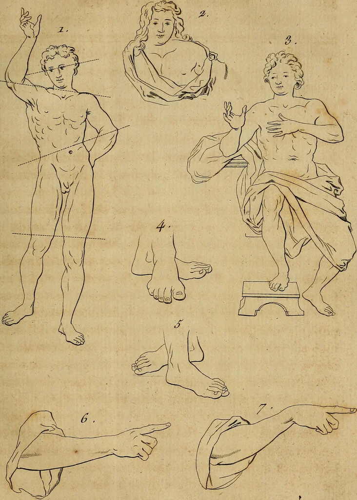 An illustration from Le grand livre des peintres : ou, L'art de la peinture considéré dans toutes ses parties, & démontré par principes; avec des réflexions sur les ouvrages de quelques bons maîtres, & sur les défauts qui s'y trouvent., 1787, leaf 124