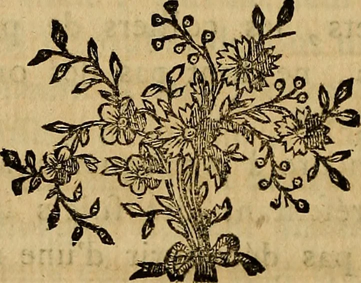 An illustration from Le grand livre des peintres : ou, L'art de la peinture considéré dans toutes ses parties, & démontré par principes; avec des réflexions sur les ouvrages de quelques bons maîtres, & sur les défauts qui s'y trouvent., 1787, leaf 361