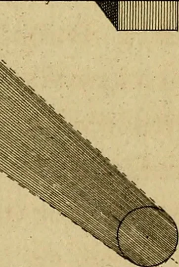 An illustration from Le grand livre des peintres : ou, L'art de la peinture considéré dans toutes ses parties, & démontré par principes; avec des réflexions sur les ouvrages de quelques bons maîtres, & sur les défauts qui s'y trouvent., 1787, leaf 563