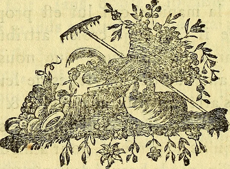 An illustration from Le grand livre des peintres : ou, L'art de la peinture considéré dans toutes ses parties, & démontré par principes; avec des réflexions sur les ouvrages de quelques bons maîtres, & sur les défauts qui s'y trouvent., 1787, leaf 189