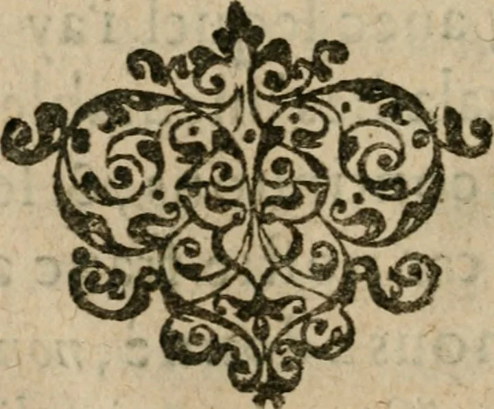 An illustration from Le grand miracle de natvre metalliqve : qve en imittant icelle sans sophistiqueries tous les metaux imparfaitz se rendront en or fin, & les maladies incurables guariront, 1615, leaf 13