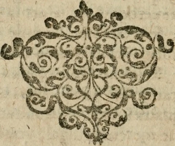 An illustration from Le grand miracle de natvre metalliqve : qve en imittant icelle sans sophistiqueries tous les metaux imparfaitz se rendront en or fin, & les maladies incurables guariront, 1615, leaf 71