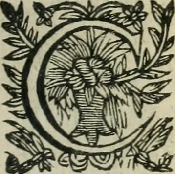 An illustration from Le grand Timoleon de Corinthe : Tragi-comedie, 1642, leaf 74
