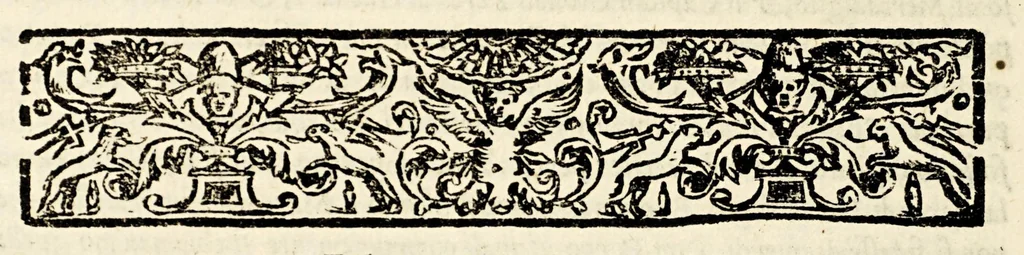 An illustration from Le historie del Sig. Agostino di Zarate contatore e consigliero dell' imperatore Carlo V. dello scoprimento et conquista del Perù, : nelle quali si ha piena & particolar relatione delle cose successe in quelle bande, dal principio fino alla pacificatione delle prouincie, si in quel che tocco allo scoprimento, come al successo delle guerre ciuili occorse fra gli Spagnuoli & capitani, che lo conquistarono., 1563, leaf 110