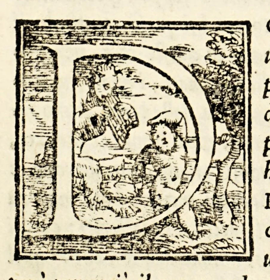 An illustration from Le historie del Sig. Agostino di Zarate contatore e consigliero dell' imperatore Carlo V. dello scoprimento et conquista del Perù, : nelle quali si ha piena & particolar relatione delle cose successe in quelle bande, dal principio fino alla pacificatione delle prouincie, si in quel che tocco allo scoprimento, come al successo delle guerre ciuili occorse fra gli Spagnuoli & capitani, che lo conquistarono., 1563, leaf 110