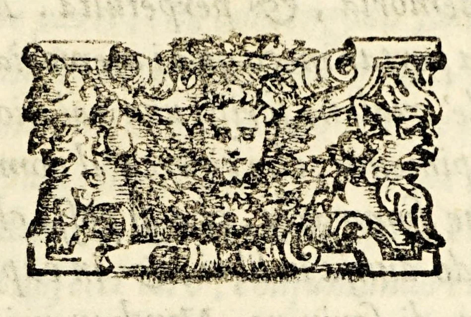 An illustration from Le historie del Sig. Agostino di Zarate contatore e consigliero dell' imperatore Carlo V. dello scoprimento et conquista del Perù, : nelle quali si ha piena & particolar relatione delle cose successe in quelle bande, dal principio fino alla pacificatione delle prouincie, si in quel che tocco allo scoprimento, come al successo delle guerre ciuili occorse fra gli Spagnuoli & capitani, che lo conquistarono., 1563, leaf 21