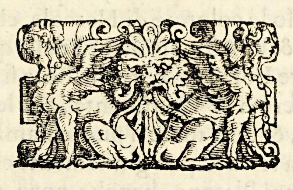 An illustration from Le historie del Sig. Agostino di Zarate contatore e consigliero dell' imperatore Carlo V. dello scoprimento et conquista del Perù, : nelle quali si ha piena & particolar relatione delle cose successe in quelle bande, dal principio fino alla pacificatione delle prouincie, si in quel che tocco allo scoprimento, come al successo delle guerre ciuili occorse fra gli Spagnuoli & capitani, che lo conquistarono., 1563, leaf 25