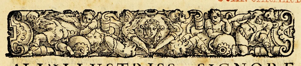 An illustration from Le historie del Sig. Agostino di Zarate contatore e consigliero dell' imperatore Carlo V. dello scoprimento et conquista del Perù, : nelle quali si ha piena & particolar relatione delle cose successe in quelle bande, dal principio fino alla pacificatione delle prouincie, si in quel che tocco allo scoprimento, come al successo delle guerre ciuili occorse fra gli Spagnuoli & capitani, che lo conquistarono., 1563, leaf 7
