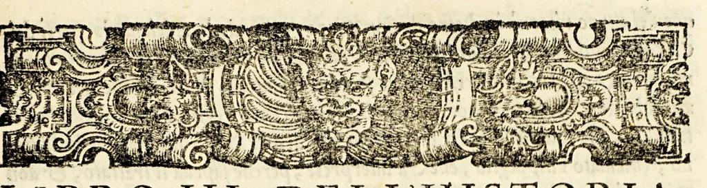 An illustration from Le historie del Sig. Agostino di Zarate contatore e consigliero dell' imperatore Carlo V. dello scoprimento et conquista del Perù, : nelle quali si ha piena & particolar relatione delle cose successe in quelle bande, dal principio fino alla pacificatione delle prouincie, si in quel che tocco allo scoprimento, come al successo delle guerre ciuili occorse fra gli Spagnuoli & capitani, che lo conquistarono., 1563, leaf 87