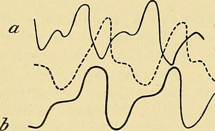 An illustration from Lehrbuch der Krankheiten des Herzens und der Blutgefässe, 1906, leaf 207
