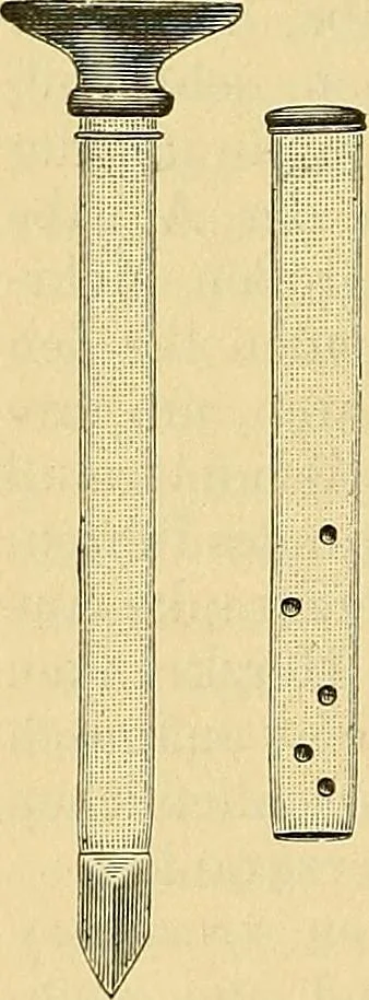 An illustration from Lehrbuch der Krankheiten des Herzens und der Blutgefässe, 1906, leaf 301