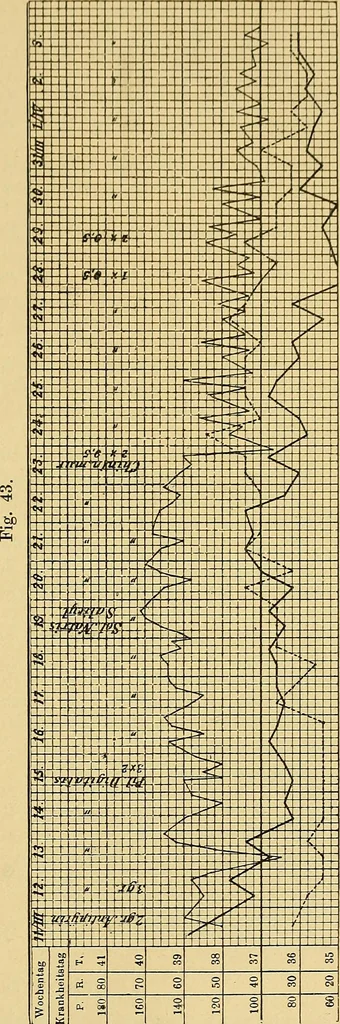 An illustration from Lehrbuch der Krankheiten des Herzens und der Blutgefässe, 1906, leaf 380