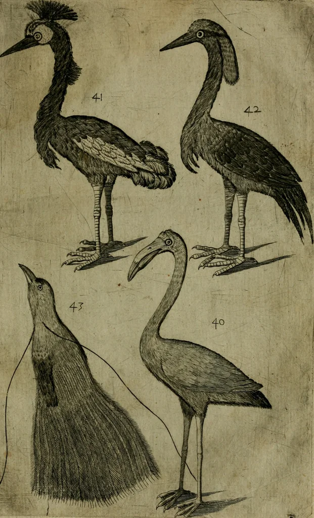 An illustration from Le iardin, et cabinet poetique de Paul Contant, apoticaire de Poictiers, 1609, leaf 138