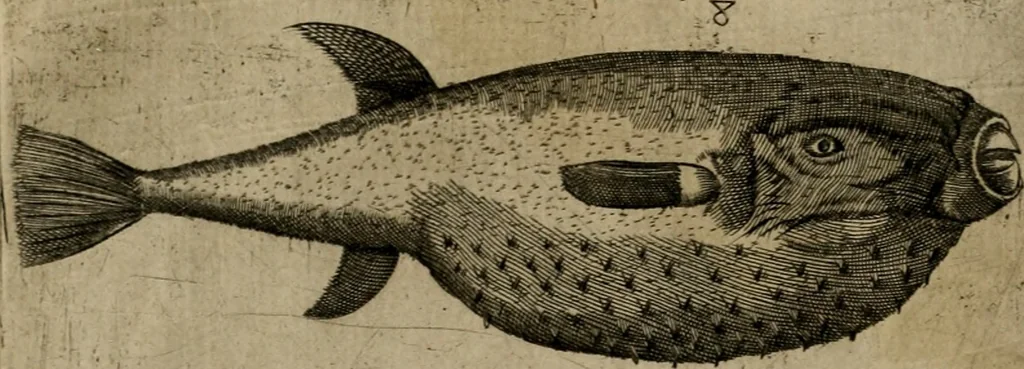 An illustration from Le iardin, et cabinet poetique de Paul Contant, apoticaire de Poictiers, 1609, leaf 141
