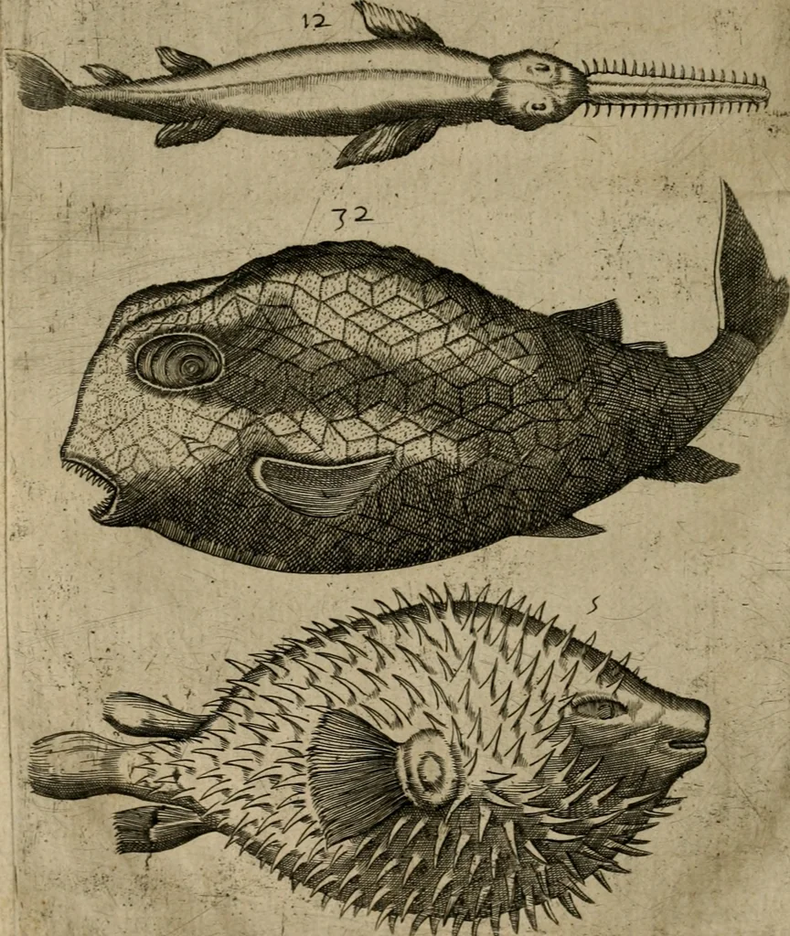 An illustration from Le iardin, et cabinet poetique de Paul Contant, apoticaire de Poictiers, 1609, leaf 141
