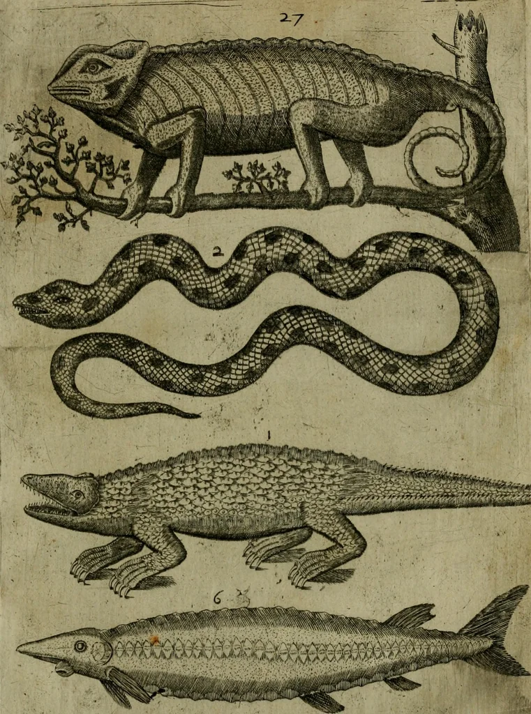 An illustration from Le iardin, et cabinet poetique de Paul Contant, apoticaire de Poictiers, 1609, leaf 142