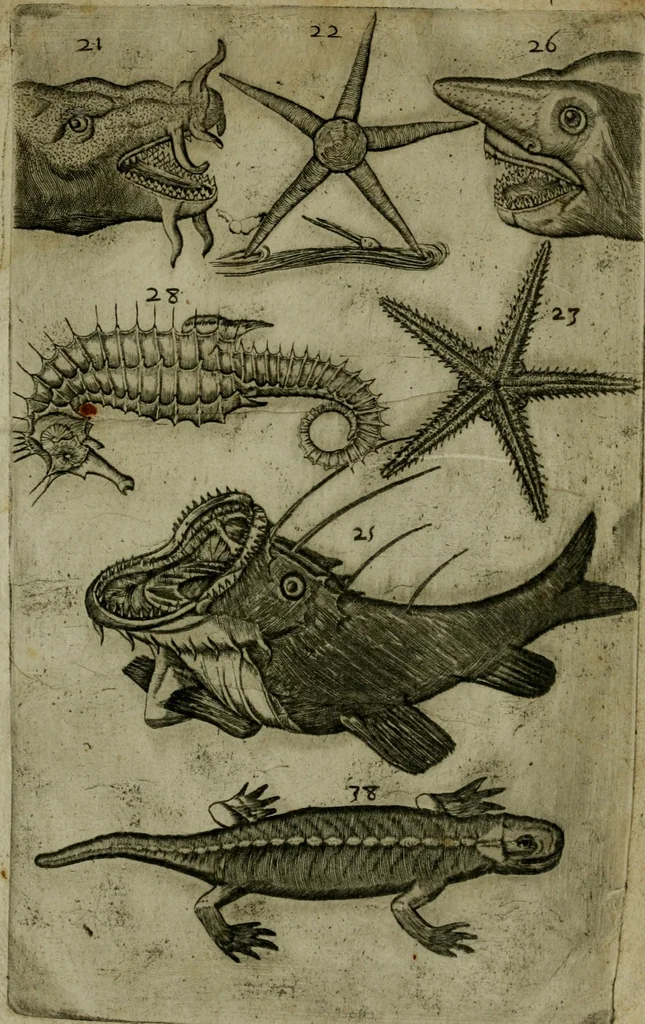 An illustration from Le iardin, et cabinet poetique de Paul Contant, apoticaire de Poictiers, 1609, leaf 150