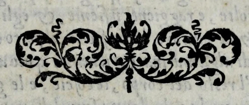 An illustration from Le imagini con la spositione de'i dei de gliantichi, 1556, leaf 101