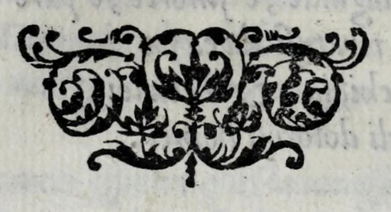 An illustration from Le imagini con la spositione de'i dei de gliantichi, 1556, leaf 132