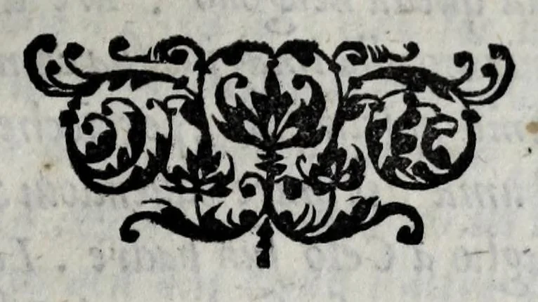 An illustration from Le imagini con la spositione de'i dei de gliantichi, 1556, leaf 235