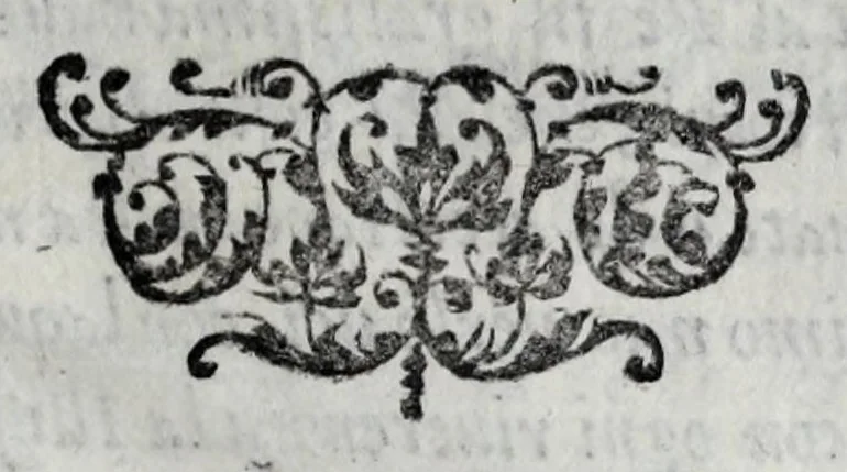 An illustration from Le imagini con la spositione de'i dei de gliantichi, 1556, leaf 7