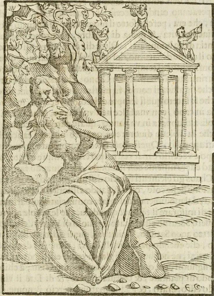 An illustration from Le imagini de gli dei de gli antichi : nelle quali sono descritte la religione de gli antichi li idoli, riti, & ceremonie loro, con l'aggiunta di molte principali imagini che nell'altre mancauano, et con l'espositione in epilogo di ciasceduna & suo significato, 1624, leaf 36