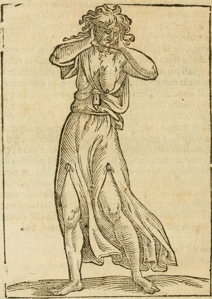 An illustration from Le imagini de gli dei de gli antichi : nelle quali sono descritte la religione de gli antichi li idoli, riti, & ceremonie loro, con l'aggiunta di molte principali imagini che nell'altre mancauano, et con l'espositione in epilogo di ciasceduna & suo significato, 1624, leaf 397