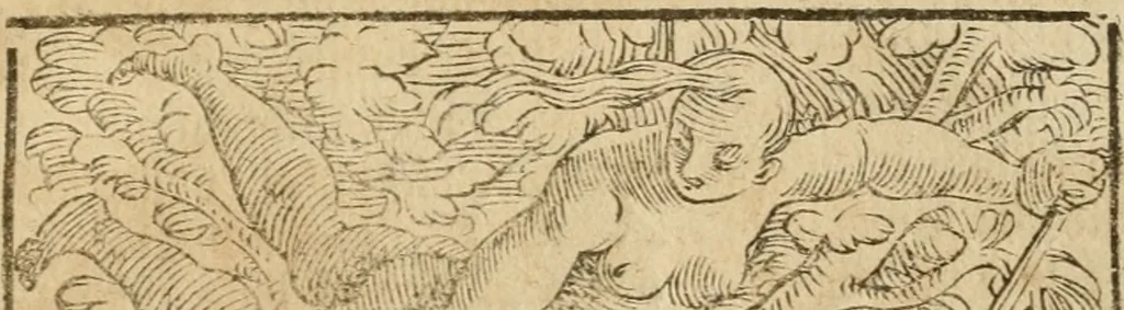 An illustration from Le imagini de gli dei de gli antichi : nelle quali sono descritte la religione de gli antichi li idoli, riti, & ceremonie loro, con l'aggiunta di molte principali imagini che nell'altre mancauano, et con l'espositione in epilogo di ciasceduna & suo significato, 1624, leaf 470