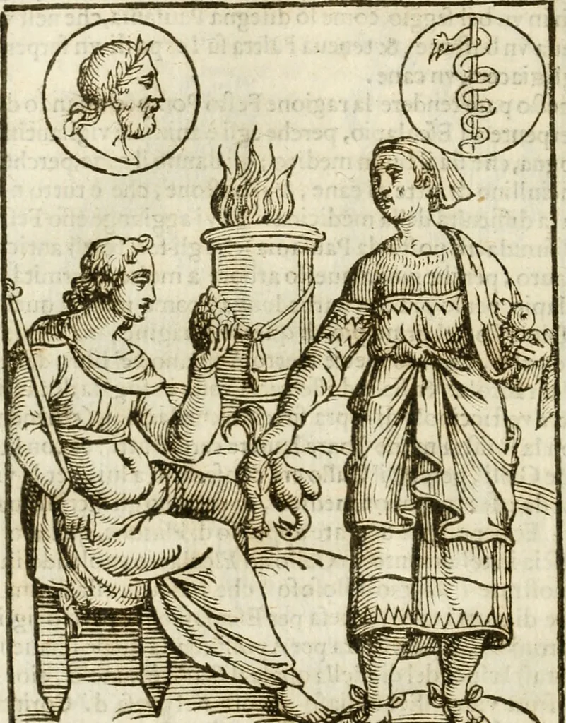 An illustration from Le imagini de gli dei de gli antichi : nelle quali sono descritte la religione de gli antichi li idoli, riti, & ceremonie loro, con l'aggiunta di molte principali imagini che nell'altre mancauano, et con l'espositione in epilogo di ciasceduna & suo significato, 1624, leaf 85