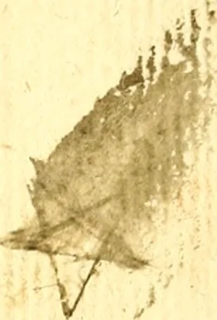 An illustration from Le imagini de gli dei de gli antichi del signor Vincenzo Cartari, reggiano : nelle quali sono descritte la religione de gli antichi, li idoli, riti & ceremonie loro ... et con l'espositione in epilogo di ciascheduna & suo significato : estrata dall' istesso Cartari per Cesare Malfatti .., 1625, leaf 98