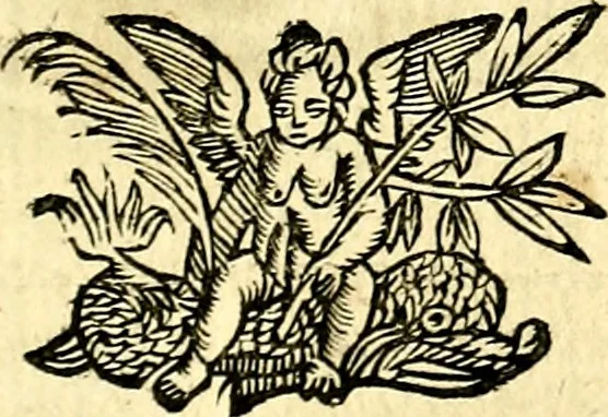 An illustration from Le imagini de gli dei de gli antichi, 1609, leaf 72