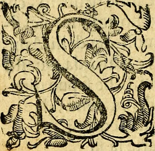 An illustration from Le imagini dei degli antichi, 1608, leaf 11