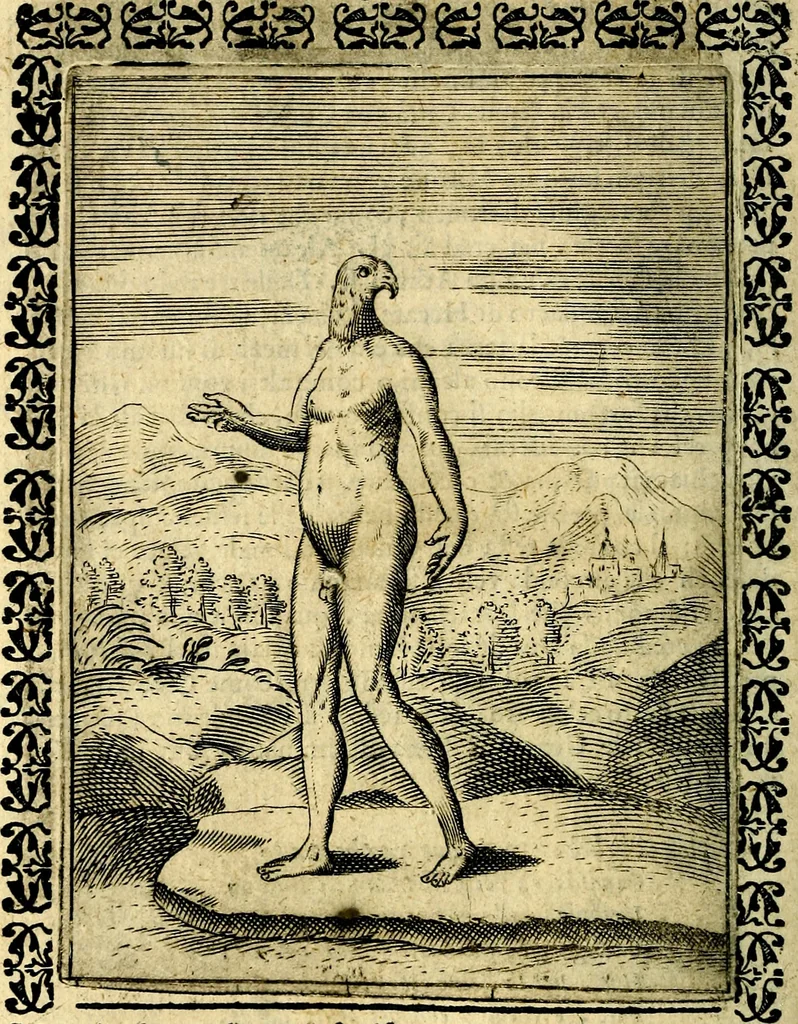 An illustration from Le imagini dei degli antichi, 1608, leaf 155