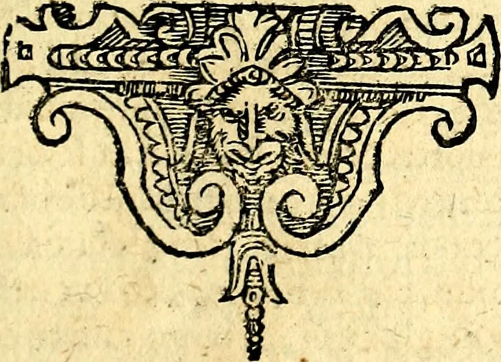 An illustration from Le imagini dei degli antichi, 1608, leaf 208