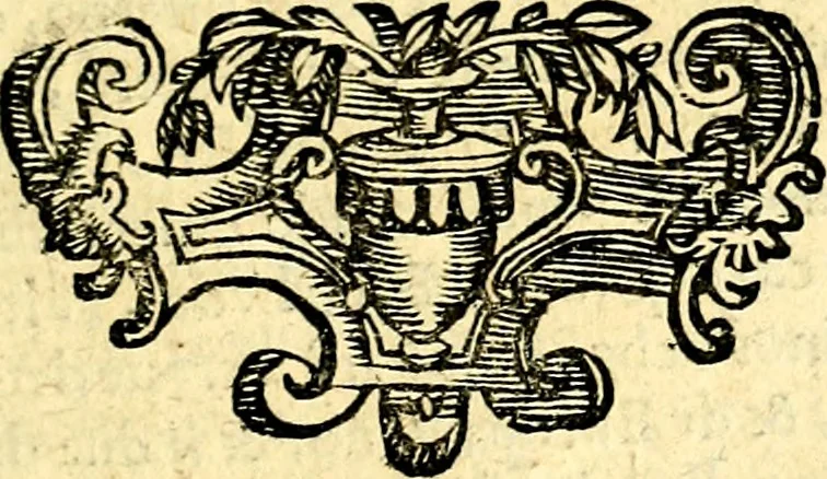 An illustration from Le imagini dei degli antichi, 1608, leaf 298