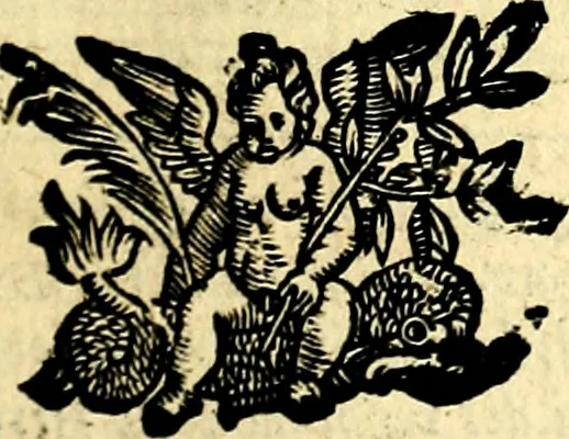 An illustration from Le imagini dei degli antichi, 1608, leaf 426