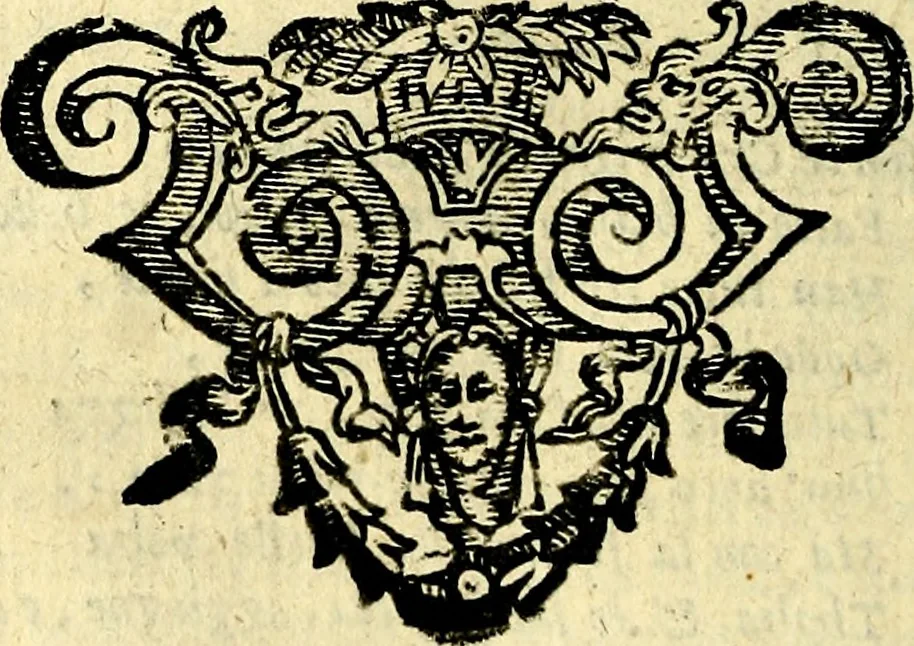 An illustration from Le imagini dei degli antichi, 1608, leaf 565