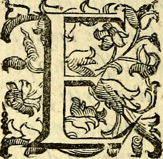 An illustration from Le imagini dei degli antichi, 1608, leaf 9