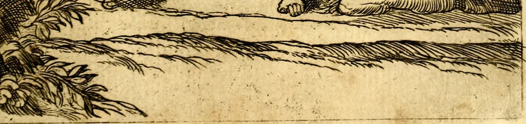 An illustration from Le imagini de i dei de gli antichi : nelle qvali si contengono gl' idoli, i riti, le cerimonie, & altre cose appartenenti alla religione de gli antichi, 1592, leaf 108