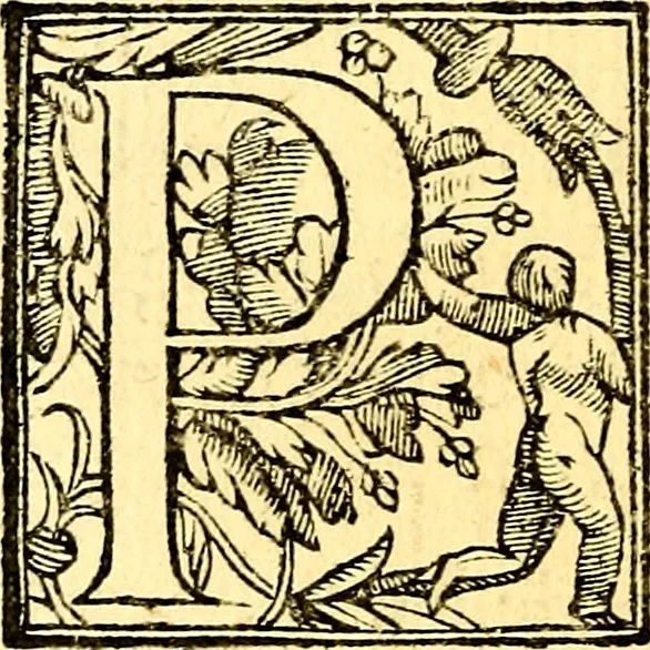 An illustration from Le imagini de i dei de gli antichi : nelle qvali si contengono gl' idoli, i riti, le cerimonie, & altre cose appartenenti alla religione de gli antichi, 1592, leaf 443