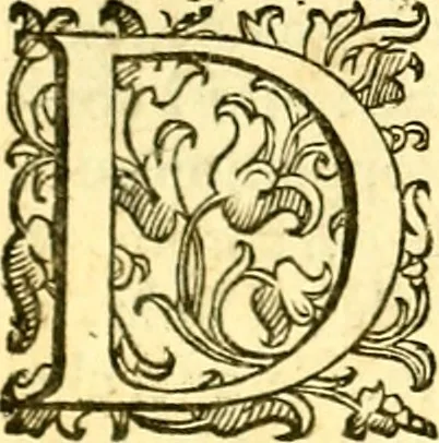 An illustration from Le imagini de i dei de gli antichi : nelle qvali si contengono gl' idoli, i riti, le cerimonie, & altre cose appartenenti alla religione de gli antichi, 1592, leaf 48